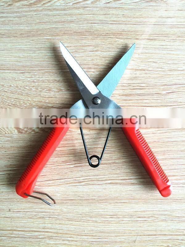 hand tool/pruner scissors/pruning shears trees/chromed fruit scissors