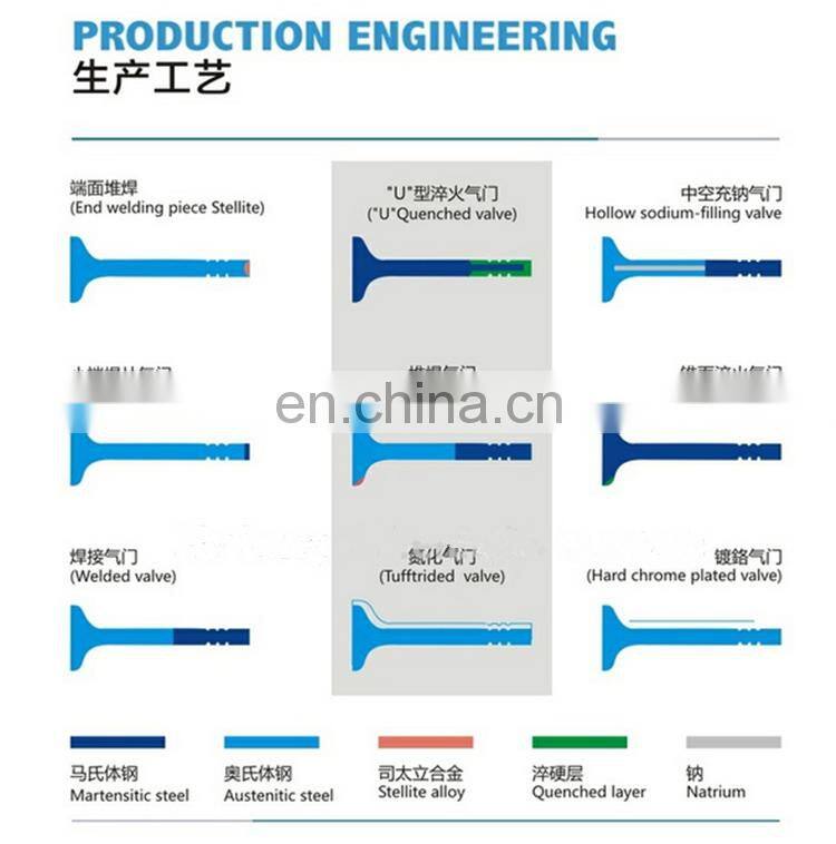 Superior Engine valve kit for B-MW 3 series M3 E21 E30 E36 E46 E90 E91 E92 E93 F30 of Luxury design spare parts