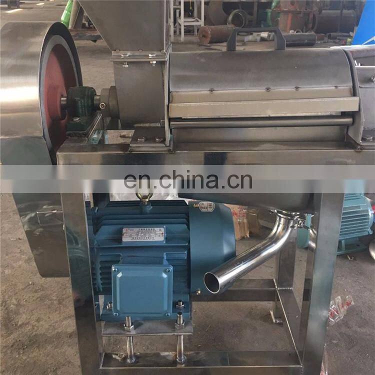 304 Material Industrial Cold Press fresh vegetable and fruit juicer with best price