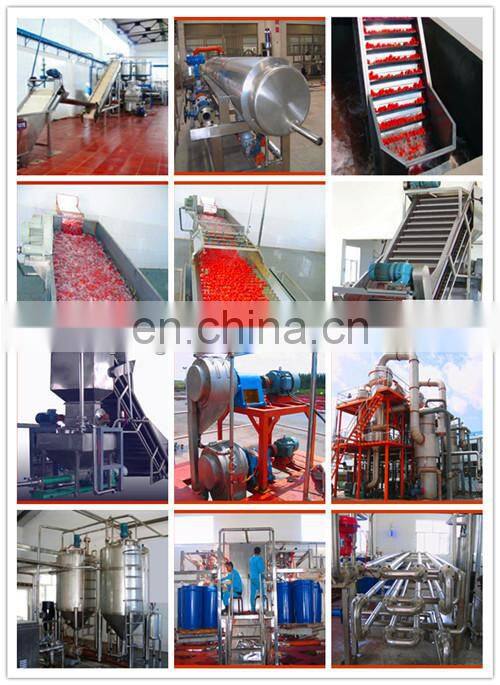 Automatic ketchup sterilizer pasteurization machine tomato sauce pasteurizer good price for sale
