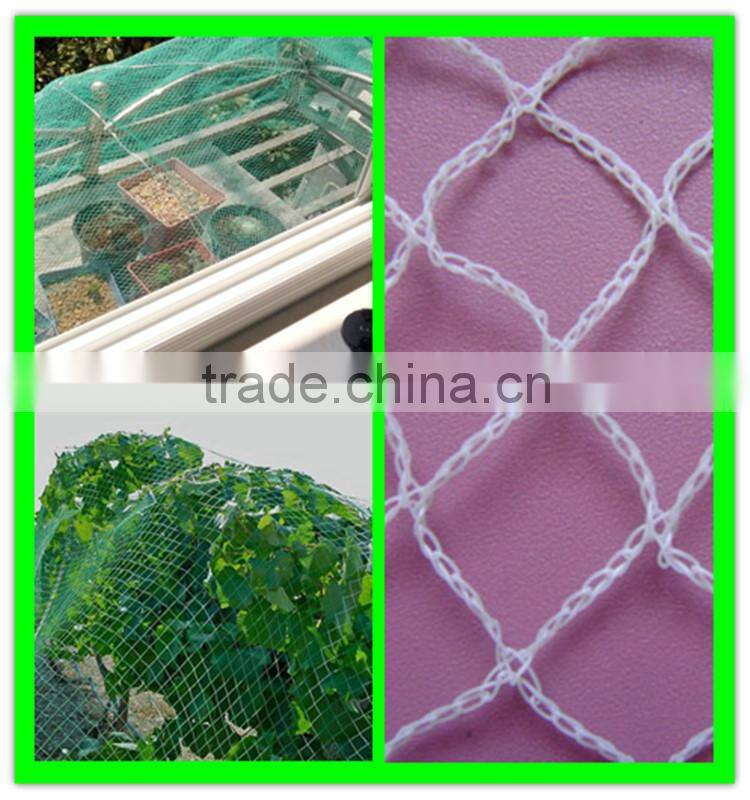 China supply vineyard PE anti bird protection netting with low price
