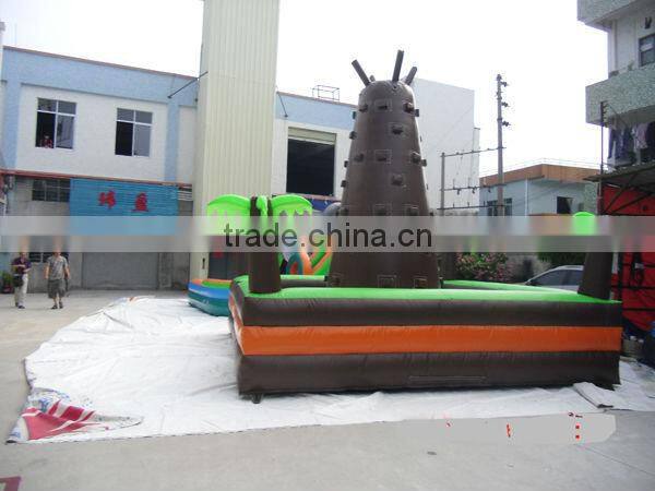 tropical rain forest inflatable climbing wall for sale