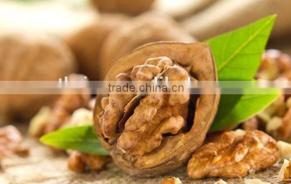 high quality almond/walnut sheller and kernel separator machine,hard walnut shell removing machine