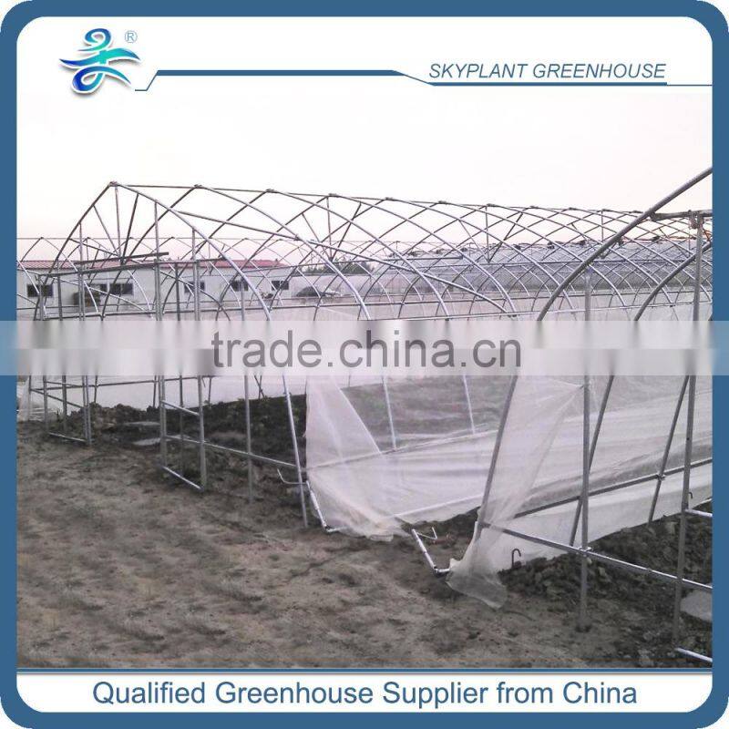 Cheap plastic film greenhouse for sale