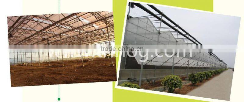 single plant greenhouse glass greenhouse for garden
