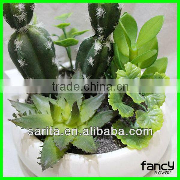 new design quality artificial cactus plants