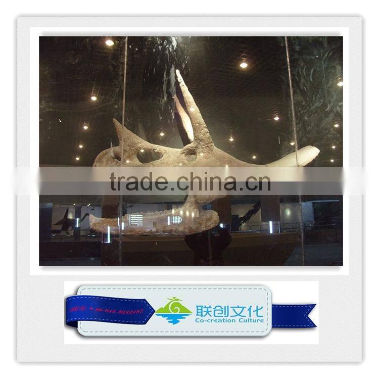 High quality museum life size dinosaur replica