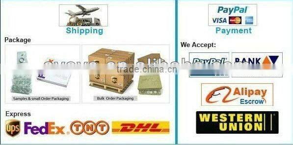 CCFL Angel Eyes for Toyota Camry 02-03 headlamp lighting