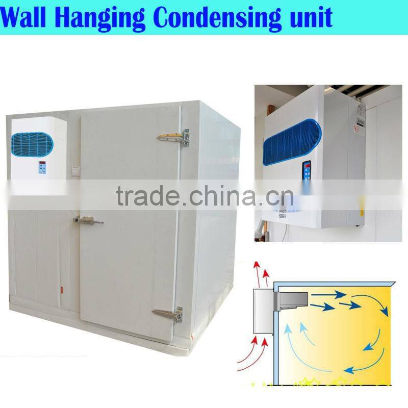 meat storage cold room (20m3 capacity)