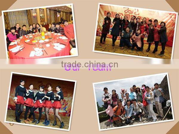 Chinese Public Porcelain Toilet without Cistern