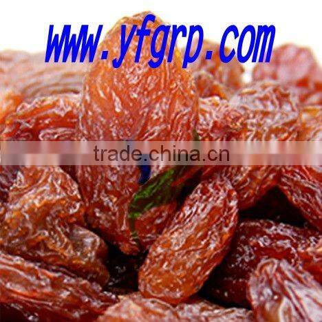 Chinese Organic raisin