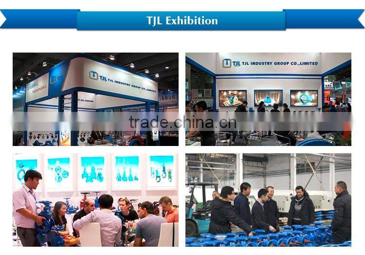 DIN Standard air release valve Ductile Iron Material