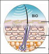 multifunction home use beauty machine for clean face, anti-aging, wrinkle removal