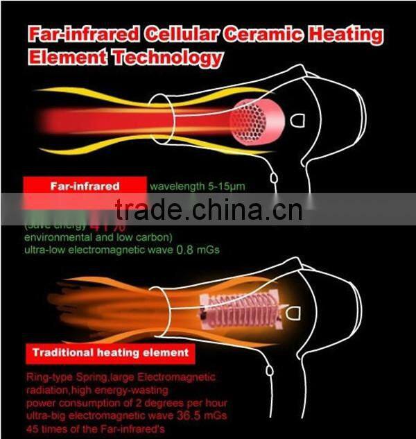 Professional DC motor AC motor Hair Dryer
