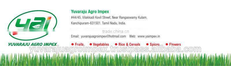 Areca Nut Plates Manufacturers / Supplier in India - Tamil Nadu