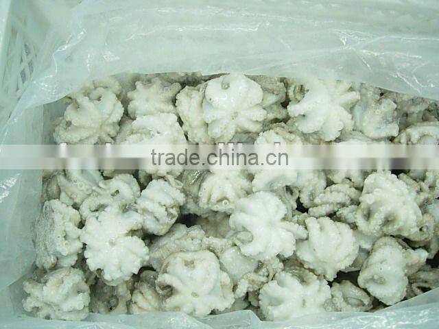 IQF Frozen Octopus ( flower shape )