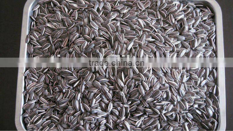 top quality Sunflower seed 5009: 20/64, 22/64, 24/64