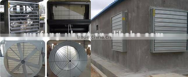 automatic feeding pan system for poultry farm equipment