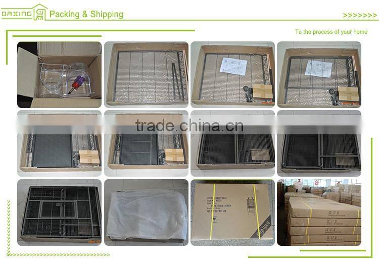 DXPC009 China supplier professional made outdoor cheap parrots for sale