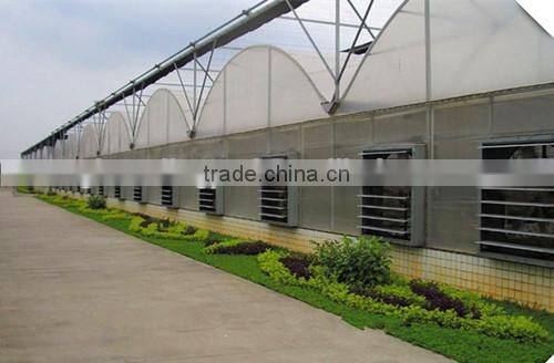 Agricultural Greenhouse Exhaust Fan With Long Service Life
