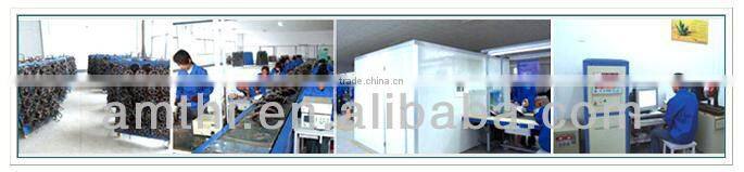 high power bldc motor, bldc motor for electric hub wheel, High speed electric motorcycle motor, brushless hub motor 5000w, AMTHI