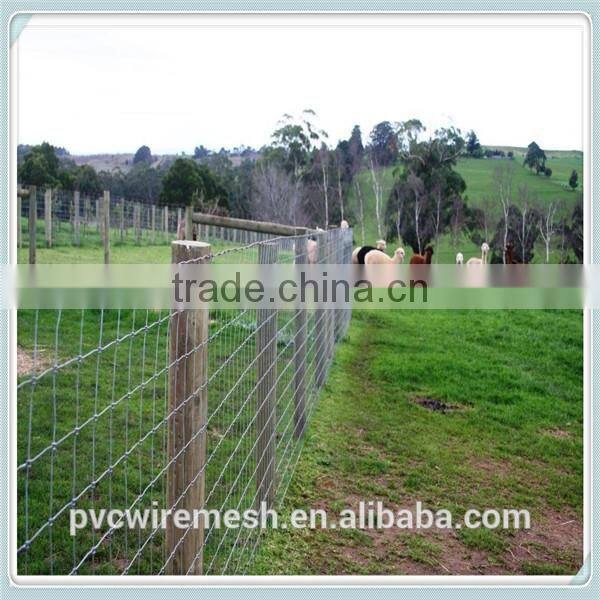 2015 hot sale metal horse fence panel professional manufacturer
