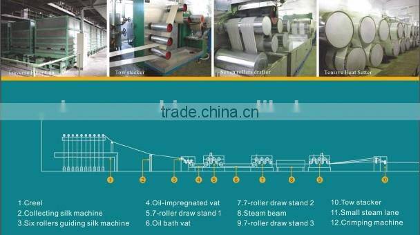 CE recycled polyester staple fiber production line