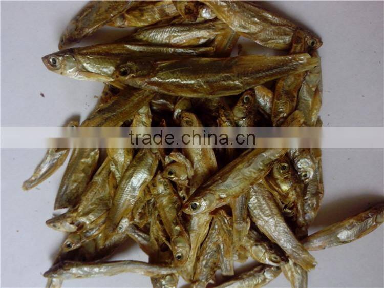 Freshwater sun dried fish for pet food