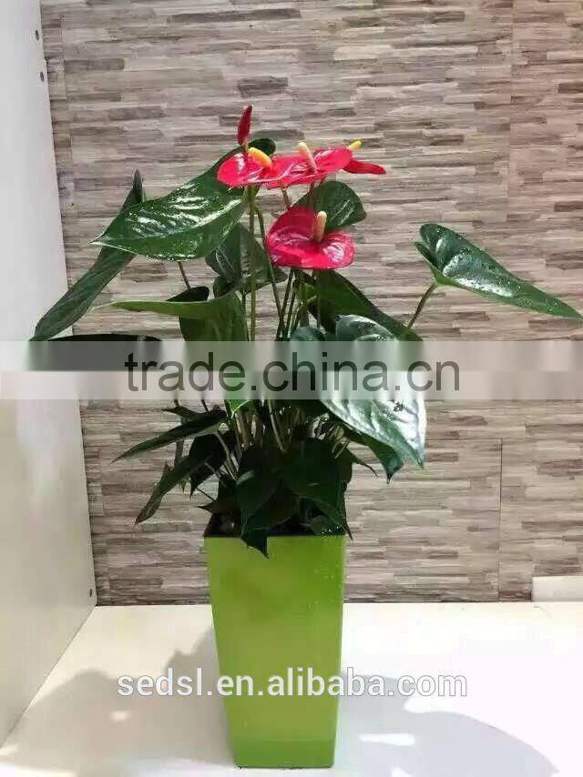 indoor square planter flower pots,decoration vase ,garden gnome flower pots