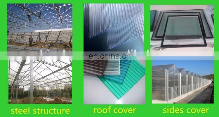 Coating Polycarbonate Greenhouse For Strawberry Growing