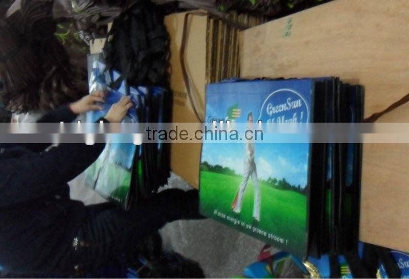 non woven cloth bag,eco shopping tote bag/promotion bag