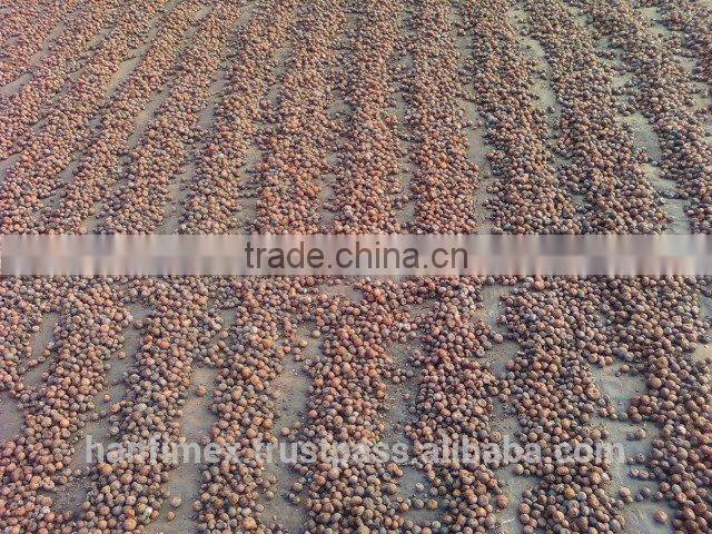 BETEL NUTS 80% GOOD CUT GOOD PRICE FOR BANGLADESH