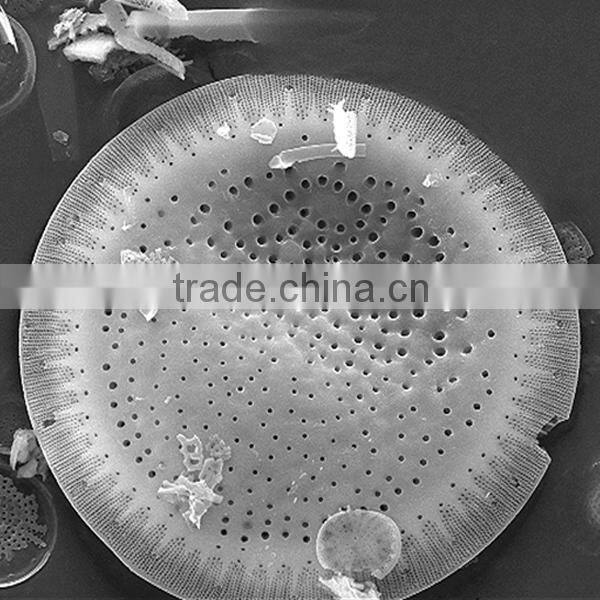 Diatomaceous earth/ Diatomite filler/ packing