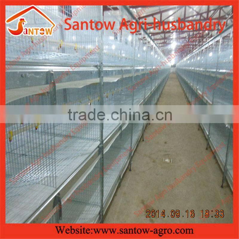 factory design full-auto hot-dipped Farm Equipment for Broiler chicken