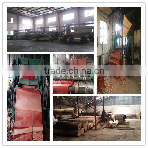 Recon Veneer,recon gurjan veneer /recon Keruing veneer