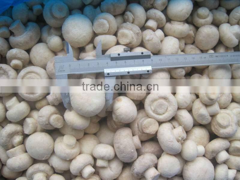 Frozen Button Mushroom Whole and Slices