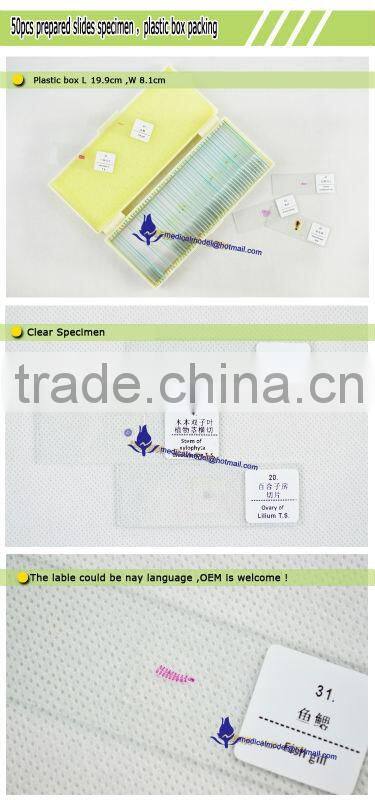 Microscope Slides Set Beginners slides set