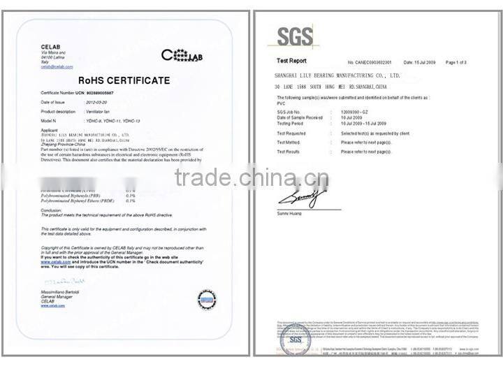 High Performance 6810 2Rs Stainless Steel