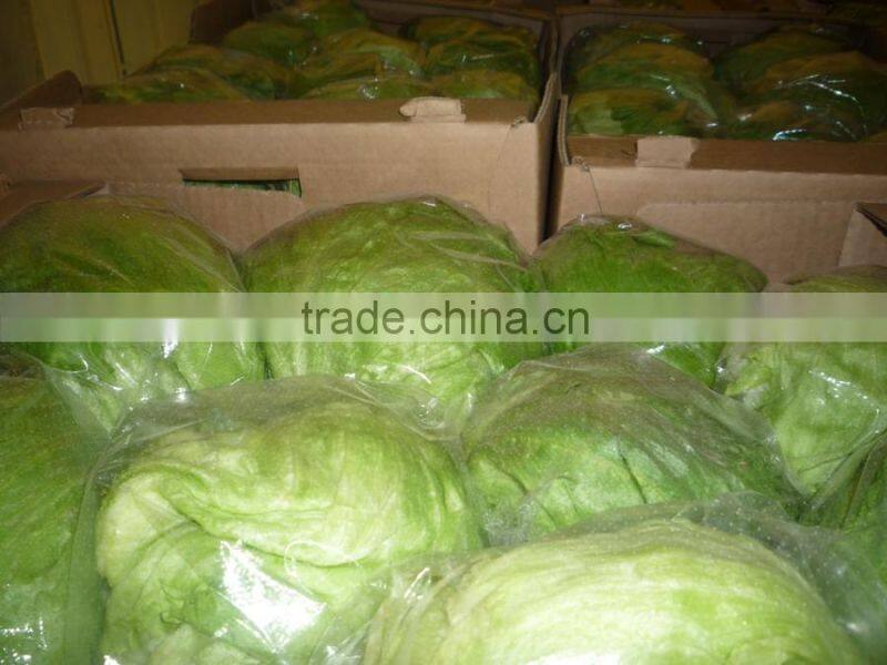 Fresh Cabbages