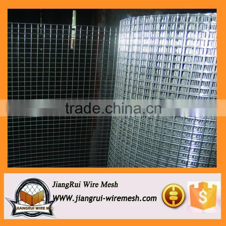Professional supplier welded wire mesh (real factory)