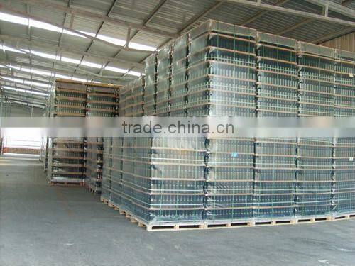 750ml holy water bottles