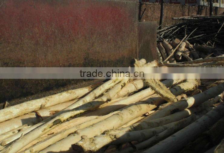 different type automatic tree debarker made in China