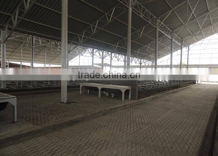 Dairy Cow Farm Equipment Cow Free Stall