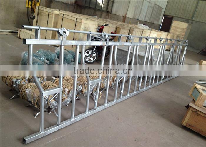 Galvanized Steel Pipe Cow Healock for 8 Cows Locking