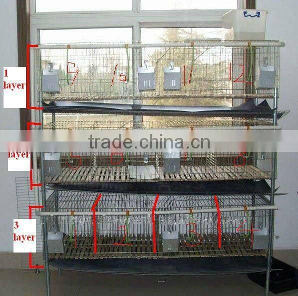 Animal Farm, Poultry Equipment