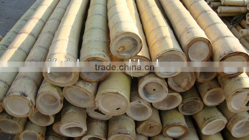 Factory direct green dry straight raw bamboo poles