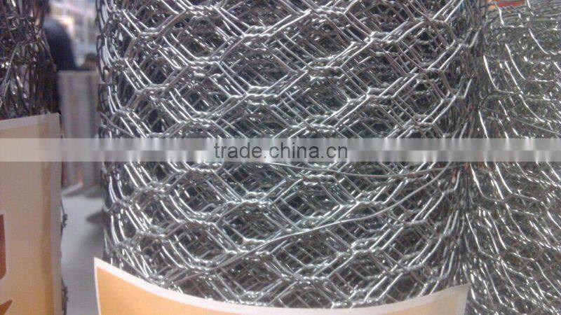 chicken fencing duck fencing mesh/hexagonal double twisted wire mesh