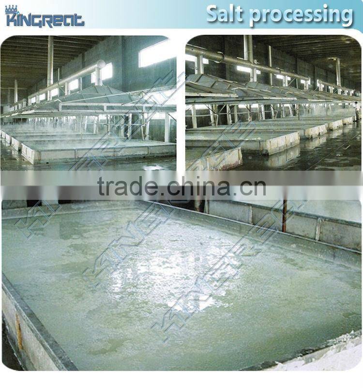 5-100T/h various capacity popular mineral and sea salt refining plant