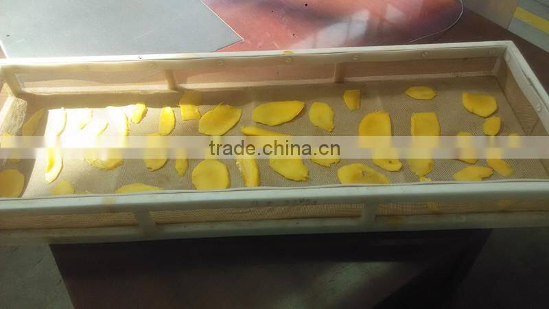 plantain chips making machine