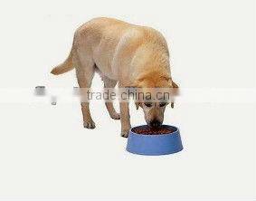 pet care dog food puppy formula